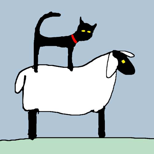 CAT ON SHEEP card