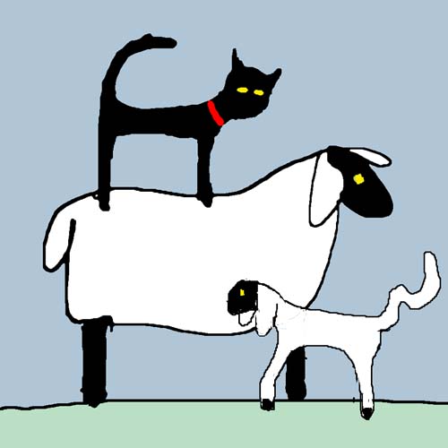 CAT SHEEP AND LAMB card