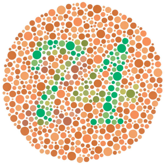 Ishihara test for colour blindness.